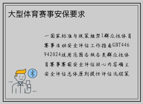 大型体育赛事安保要求